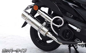 JOG125iWO125j8BJ-SEJ5J C}t[ |bp[^Cv XeX ECYEBiWirusWinj