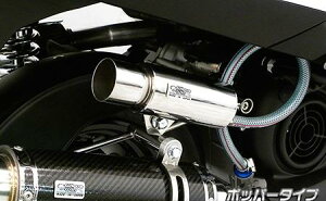 JOG125�i�W���O125�j8BJ-SEJ5J �u���[�U�[�L���b�`�^���N �|�b�p�[�^�C�v �E�C���Y�E�B���iWirusWin�j