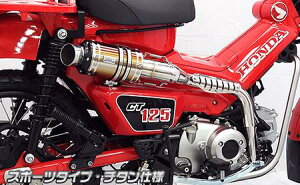 CT125n^[Jui8BJ-JA65j Abv}t[ X|[c^Cv `^dl ECYEBiWirusWinj