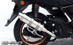 NMAX125(8BJ-SEG6J) ロイヤルマフラー スポーツタイプ ステンレス ウイルズウィン(WirusWin)
