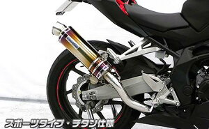 CBR250RRi8BK-MC51j XbvI}t[ X|[c^Cv `^ ECYEBiWirusWinj