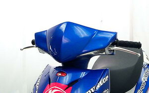 KYMCO RACING125Fi wbh}XN hQR[gdグ ECYEBiWirusWinj