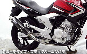 YBR250i^FPCNLDj _Ci~bN}t[ X|[c^Cv ubNJ[{dlitGL][Xgj ECYEBiWirusWinj