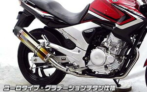 YBR250i^FPCNLDj _Ci~bN}t[ [^Cv Of[V`^dlitGL][Xgj ECYEBiWirusWinj