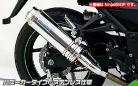 Ninja250（ニンジャ）JBK-EX250L スリップオンマフラー バズーカータイプ ステンレス ウイルズウィン（WirusWin）