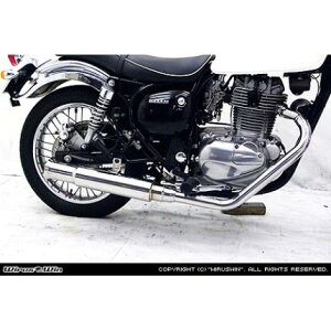 GXgEFIdlԁiJBK-BJ250Aj2007`2013N I[vGh}t[tGL][Xg ECYEBiWirusWinj