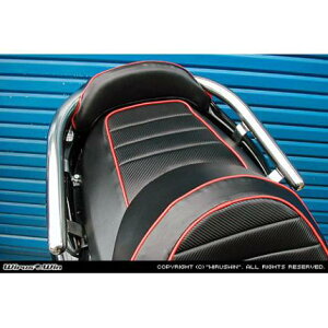 フォルツァ(MF08・前期用) 38φタンデムバー ブライアントタイプ ウイルズウィン(WirusWin)