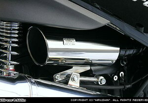 tHc@iMF10j Lp[^CvGAN[i[Lbg ECYEBiWirusWinj