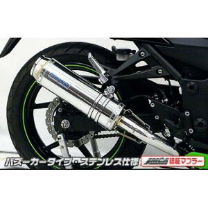 Ninja250RijWj 2008N` _Ci~bN}t[tGL oY[J[^Cv JMCAF ECYEBiWirusWinj
