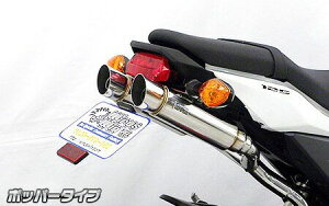 GROM�i�O�����j16�N�`�i2�^�j �A�g�~�b�N�c�C���}�t���[�|�b�p�[�^�C�v�i�t���G�L�]�[�X�g�j �E�C���Y�E�B���iWirusWin�j