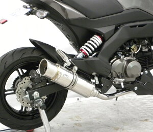 Z125PROivj2BJ-BR125H C}t[ |bp[^Cv tGL][Xg}t[ XeX ECYEBiWirusWinj