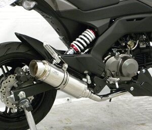 Z125PROivj2BJ-BR125H C}t[ X|[c^Cv tGL][Xg}t[ XeX ECYEBiWirusWinj