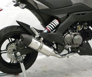 Z125PROivj2BJ-BR125H C}t[ [^Cv tGL][Xg}t[ XeX ECYEBiWirusWinj