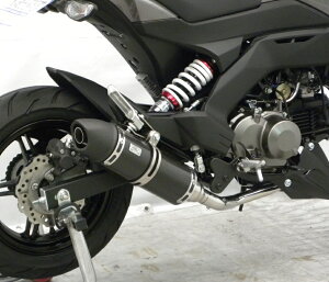 Z125PROivj2BJ-BR125H C}t[ [^Cv tGL][Xg}t[ ubNJ[{dl ECYEBiWirusWinj