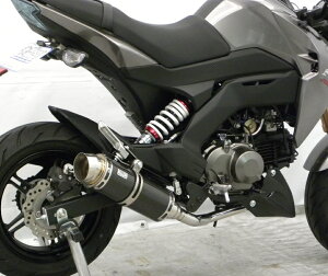 Z125PROivj2BJ-BR125H C}t[ X|[c^Cv tGL][Xg}t[ ubNJ[{dl ECYEBiWirusWinj