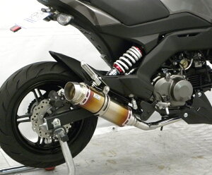 Z125PROivj2BJ-BR125H C}t[ X|[c^Cv tGL][Xg}t[ `^dl ECYEBiWirusWinj