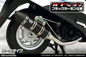 �A�h���X125�i2BJ-DT11A�j ���C�����}�t���[ ���[���^�C�v �u���b�N�J�[�{���d�l �E�C���Y�E�B���iWirusWin�j