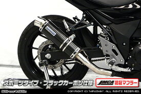 GSX250R（2BK-DN11A） スリップオンマフラー スポーツタイプ ブラックカーボン（JMCA認証マフラー） ウイルズウィン（WirusWin）