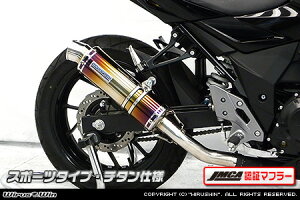 GSX250Ri2BK-DN11Aj XbvI}t[ X|[c^Cv `^iJMCAF؃}t[j ECYEBiWirusWinj