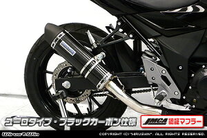 GSX250Ri2BK-DN11Aj XbvI}t[ [^Cv ubNJ[{iJMCAF؃}t[j ECYEBiWirusWinj