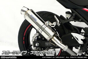 Ninja250ijW250j2BK-EX250P XbvI}t[ X|[c^Cv XeXdl ECYEBiWirusWinj