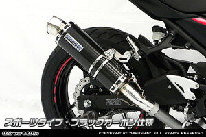 Ninja250ijW250j2BK-EX250P XbvI}t[ X|[c^Cv ubNJ[{dl ECYEBiWirusWinj