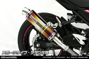 Ninja250ijW250j2BK-EX250P XbvI}t[ X|[c^Cv `^dl ECYEBiWirusWinj