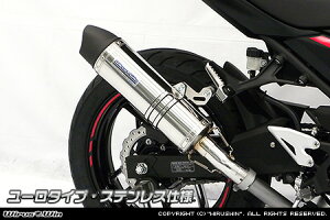 Ninja250ijW250j2BK-EX250P XbvI}t[ [^Cv XeXdl ECYEBiWirusWinj