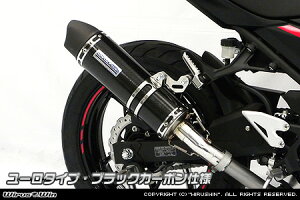 Ninja250�i�j���W��250�j2BK-EX250P �X���b�v�I���}�t���[ ���[���^�C�v �u���b�N�J�[�{���d�l �E�C���Y�E�B���iWirusWin�j