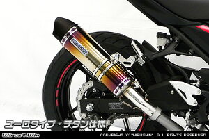 Ninja250ijW250j2BK-EX250P XbvI}t[ [^Cv `^dl ECYEBiWirusWinj