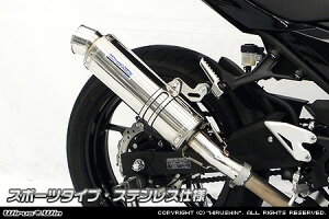 Ninja400ijW400j2BL-EX400G XbvI}t[ X|[c^Cv XeXdl ECYEBiWirusWinj