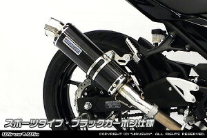 Ninja400ijW400j2BL-EX400G XbvI}t[ X|[c^Cv ubNJ[{dl ECYEBiWirusWinj
