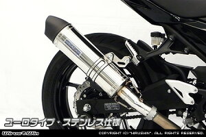 Ninja400ijW400j2BL-EX400G XbvI}t[ [^Cv XeXdl ECYEBiWirusWinj