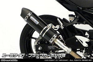 Ninja400ijW400j2BL-EX400G XbvI}t[ [^Cv ubNJ[{dl ECYEBiWirusWinj