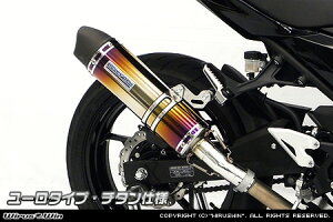 Ninja400ijW400j2BL-EX400G XbvI}t[ [^Cv `^dl ECYEBiWirusWinj
