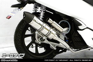 PCX125i2BJ-JF81j C}t[ [^Cv XeXdl ECYEBiWirusWinj