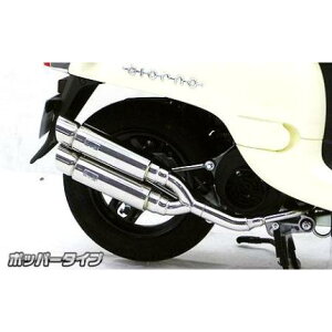 Ag~bNcC}t[ |bp[^Cv ECYEBiWirusWinj GIORNOiWmjAF70p