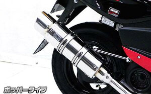 }nJOG100iWOj C}t[ |bp[^Cv XeX ECYEBiWirusWinj