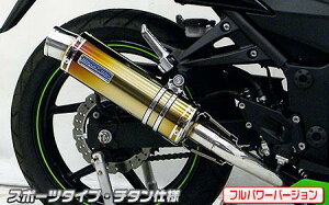 Ninja250RijWjJBK-EX250K _Ci~bN}t[ X|[c^Cv tGL `^itp[o[Wj ECYEBiWirusWinj