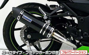 Ninja250RijWjJBK-EX250K _Ci~bN}t[ [^Cv tGL ubNJ[{itp[o[Wj ECYEBiWirusWinj