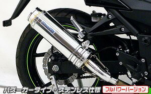 Ninja250RijWjJBK-EX250K XbvI}t[ oY[J[^Cv XeXitp[o[Wj ECYEBiWirusWinj