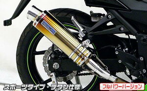 Ninja250RijWjJBK-EX250K XbvI}t[ X|[c^Cv `^itp[o[Wj ECYEBiWirusWinj
