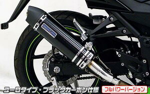Ninja250RijWjJBK-EX250K XbvI}t[ [^Cv ubNJ[{itp[o[Wj ECYEBiWirusWinj