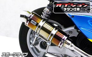 p}n RSZ100 C}t[ X|[c^Cv `^dl ECYEBiWirusWinj