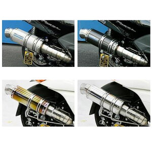 WF}iGEMMAj v~A}t[Vo[J[{dl ECYEBiWirusWinj