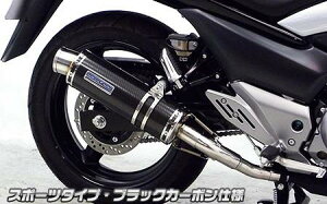 GSR250iJBK-GJ55Dj XbvI}t[ X|[c^Cv ubNJ[{dl ECYEBiWirusWinj