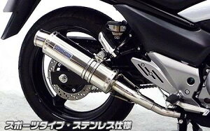 GSR250iJBK-GJ55Dj XbvI}t[ X|[c^Cv XeXdl ECYEBiWirusWinj