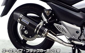 GSR250iJBK-GJ55Dj XbvI}t[ [^Cv ubNJ[{dl ECYEBiWirusWinj