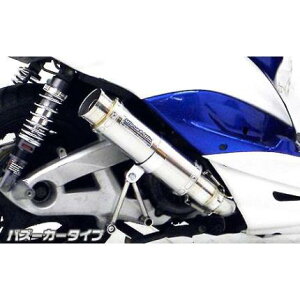 VOiXXi1^jpi5TY1j Vbg}t[oY[J[^Cv XeX ECYEBiWirusWinj