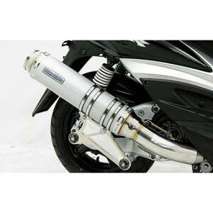 VOiXXi1^jpi5TY1j AeBbg}t[ Vo[J[{dl ECYEBiWirusWinj